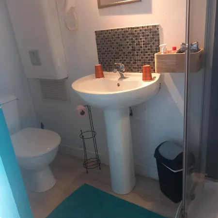 Les Herissons De La Baie Pontorson