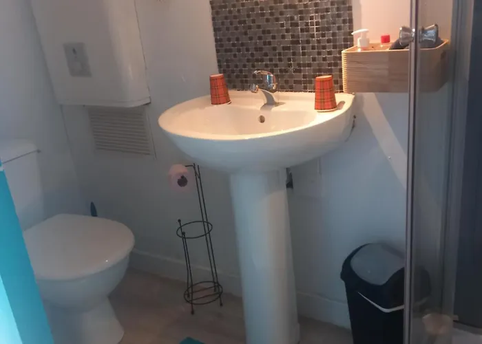 Les Herissons De La Baie Pontorson